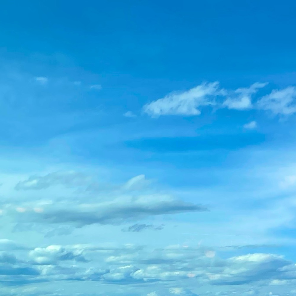 Meet your Posher, Debby